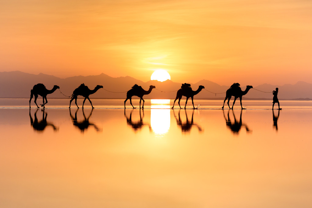 Ethiopia Natalia Stone Camels 1