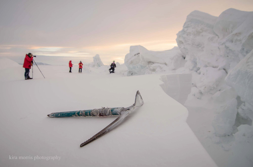 500px Global Photowalk Antartica-2