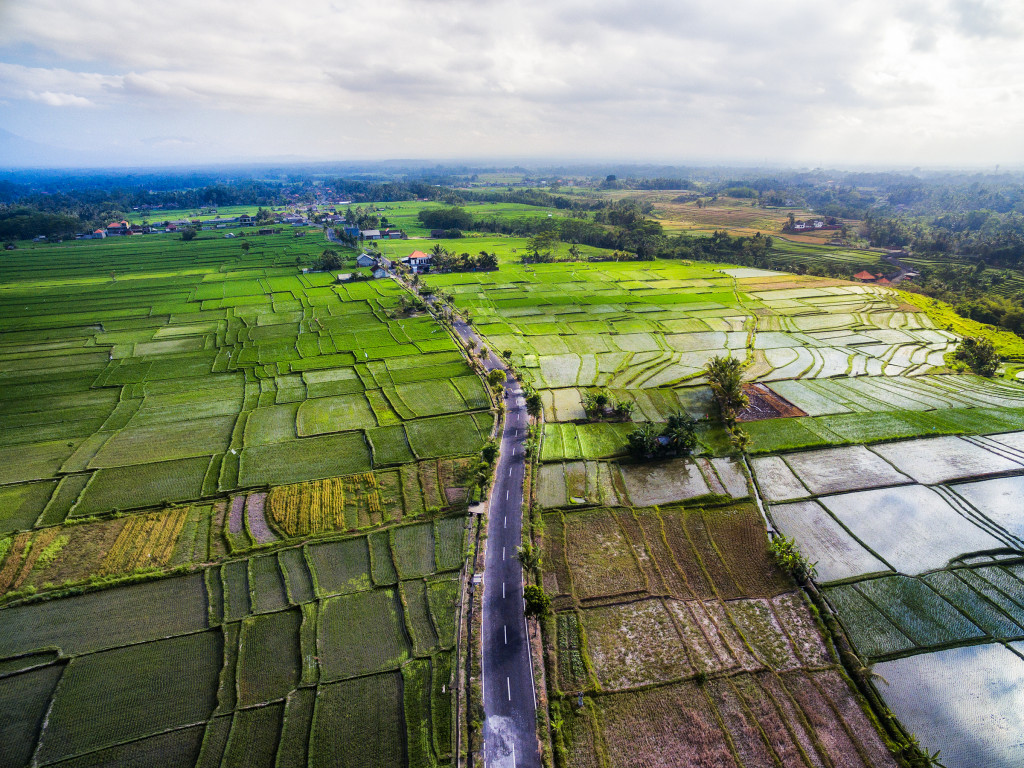Indonesia Bali Rice Fields by Drone by Michael Matti