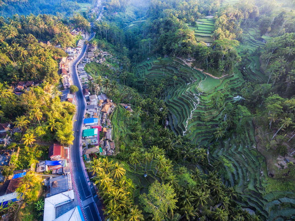 Indonesia Tegalalang Rice Terraces near Ubud by drone 2 by Michael Matti