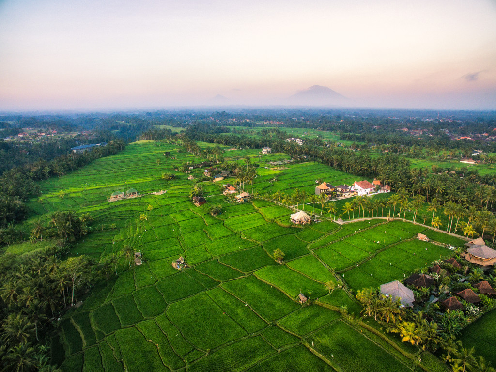 Indonesia flying over rice fields near Ubud Bali by Michael Matti