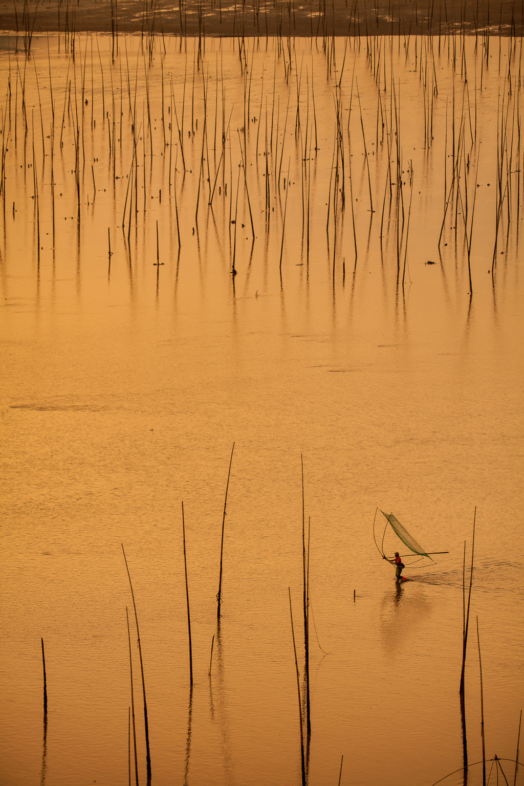 A lone fisherman carrying his net at Bei Qi at XiaPu, China. The golden reflection is of an incredible sunrise that appeared in the backgroun, just out of the picture.