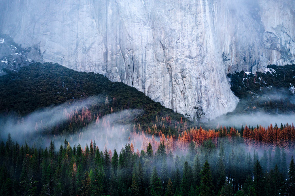 AndyBest_Yosemite-6