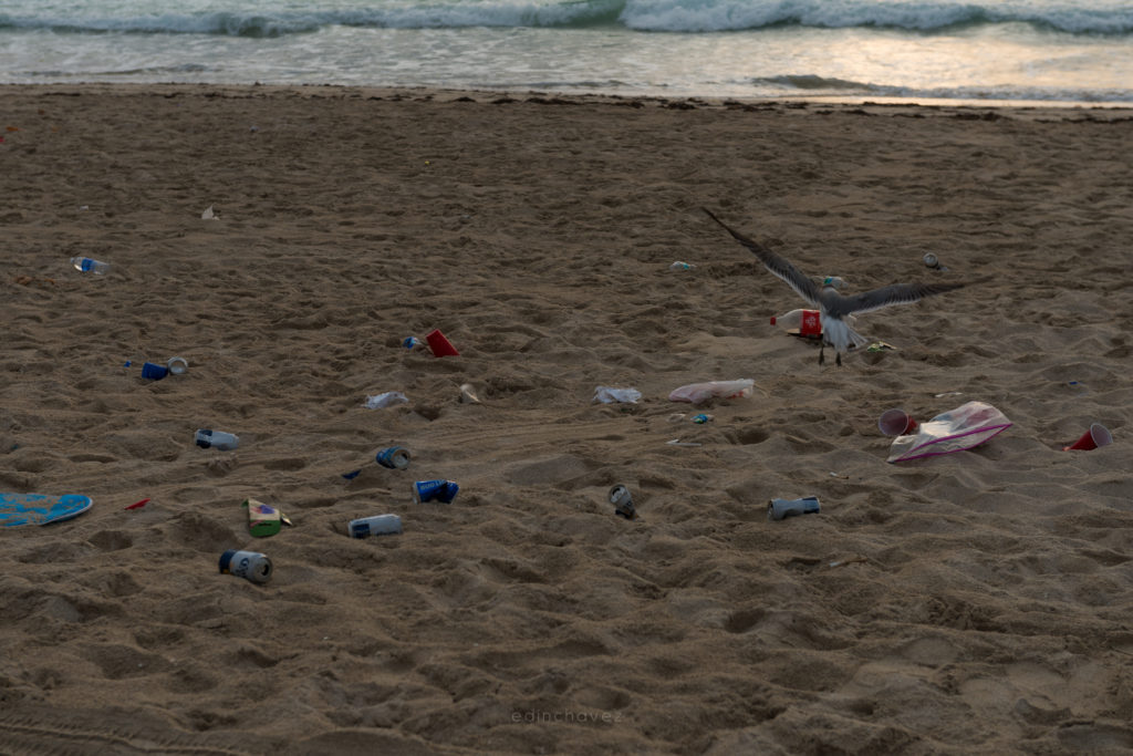 Miami Beach Trash (76 of 238)-1