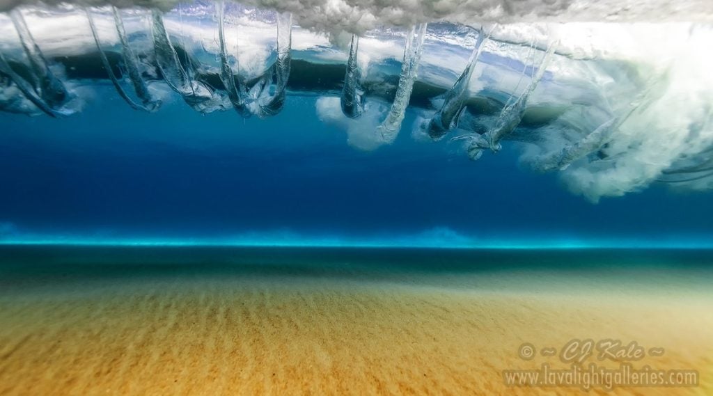 Under the Hawaiian Sea. Photo by CJ Kale. 