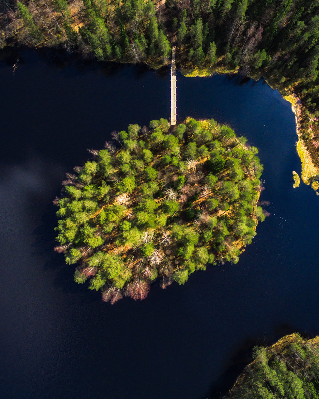 Finland Drone Island in Lake by Michael Matti