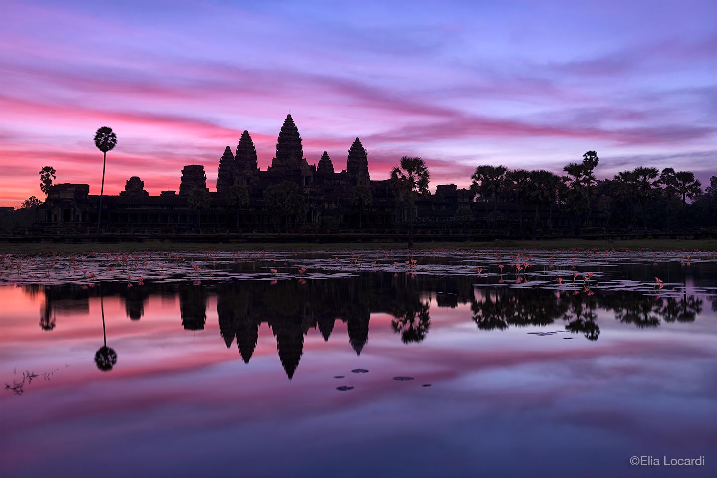 Photo-Tour-Leader-Elia-Locardi-Angkor-Siem-Reap-Cambodia