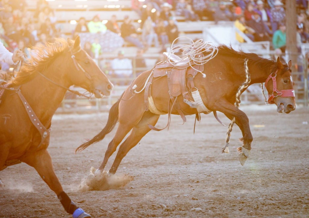 Photograph taken at the Nyssa Nite Rodeo, Nyssa Oregon, June 18th 2016. Photo by Carey Rose