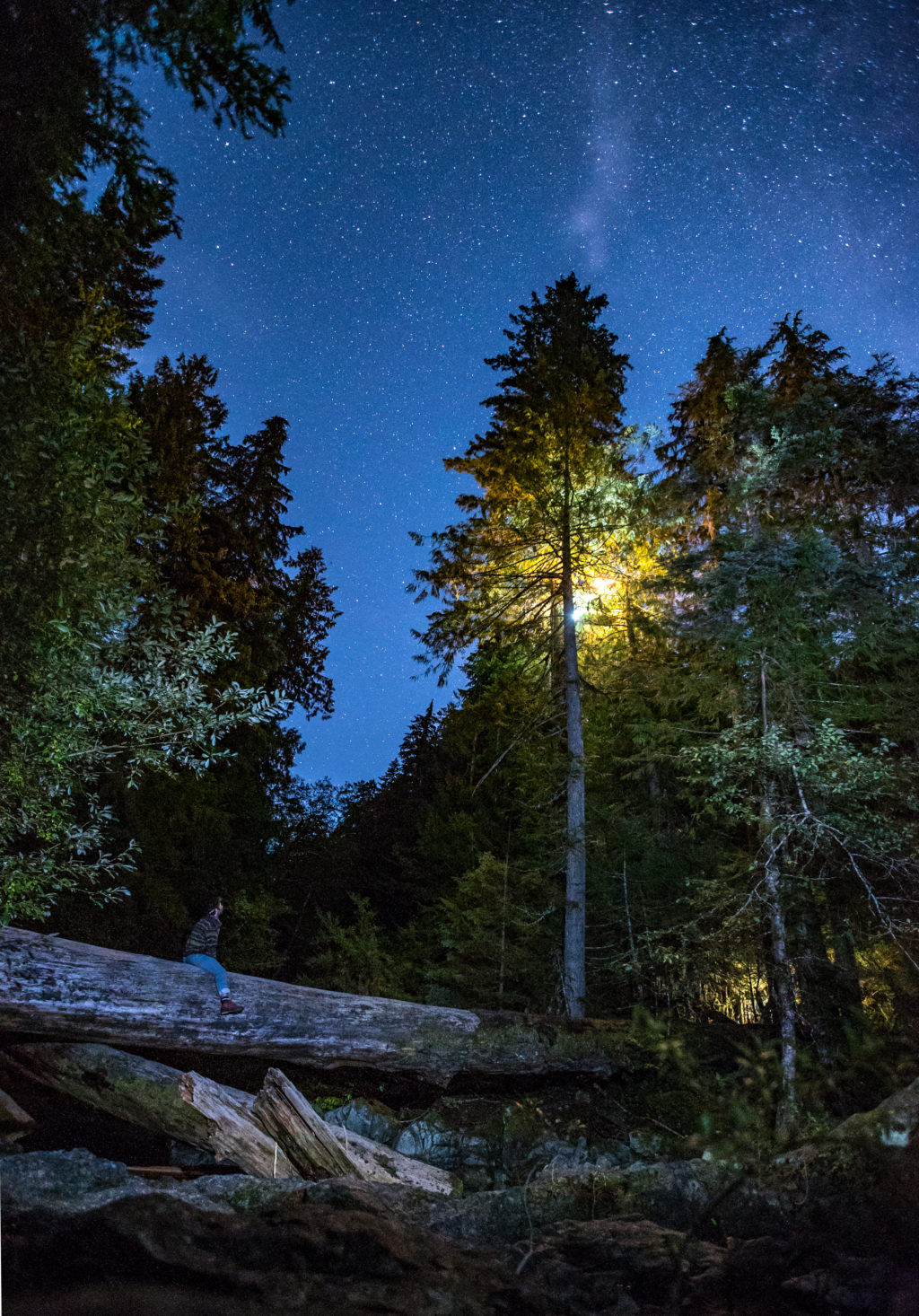camping-in-trees-in-opal-creek-oregon-16