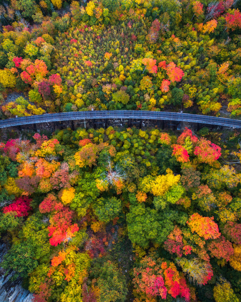 drone-over-new-hampshire-in-fall-by-michael-matti_