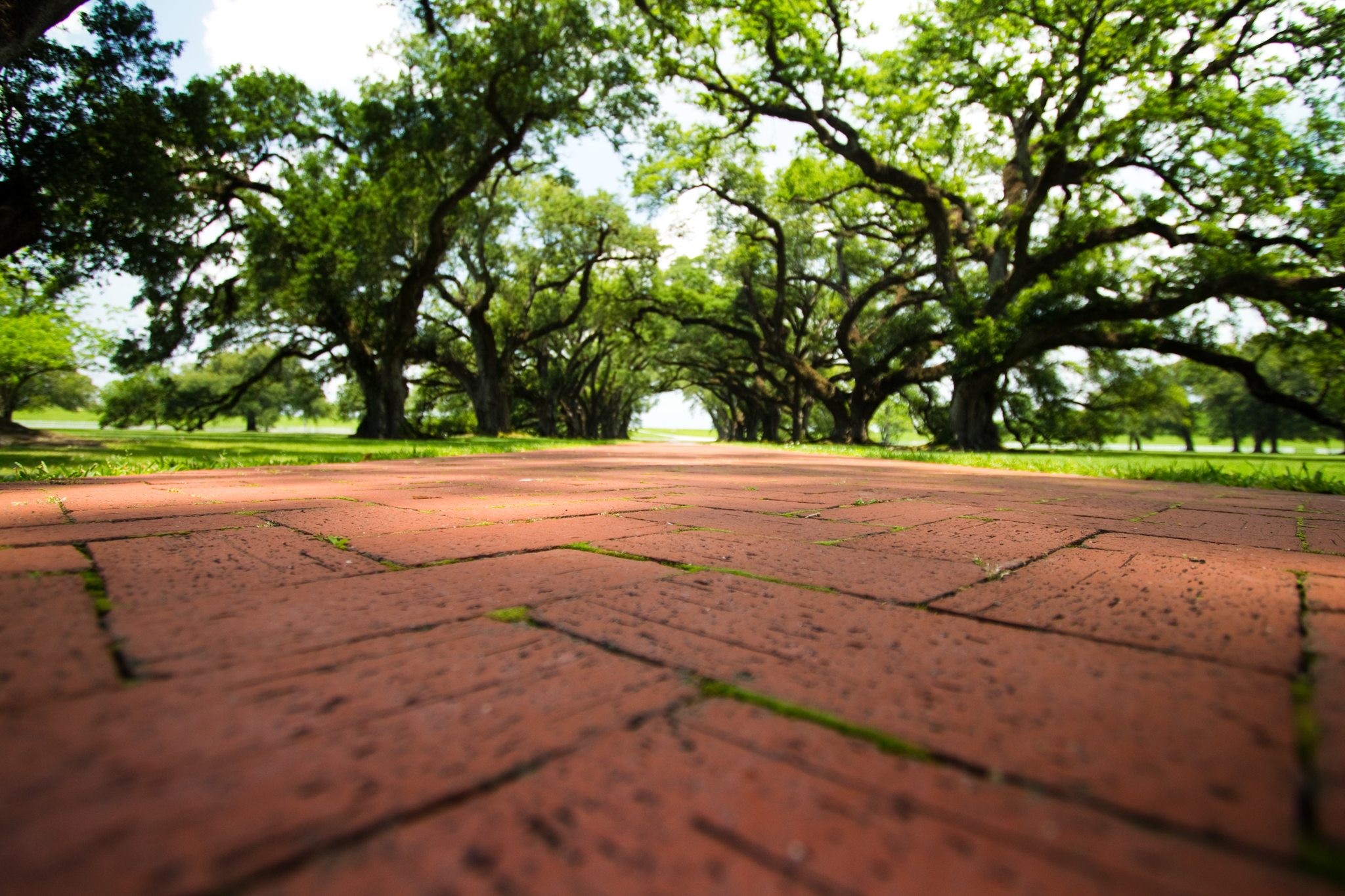 Oak Alley Plantation in St. James Parish, Louisiana often has lots of visitors wandering the grounds. Preferring not to photoshop people from the frame, I waited awhile for a clear view down the path of centuries-old oak trees.