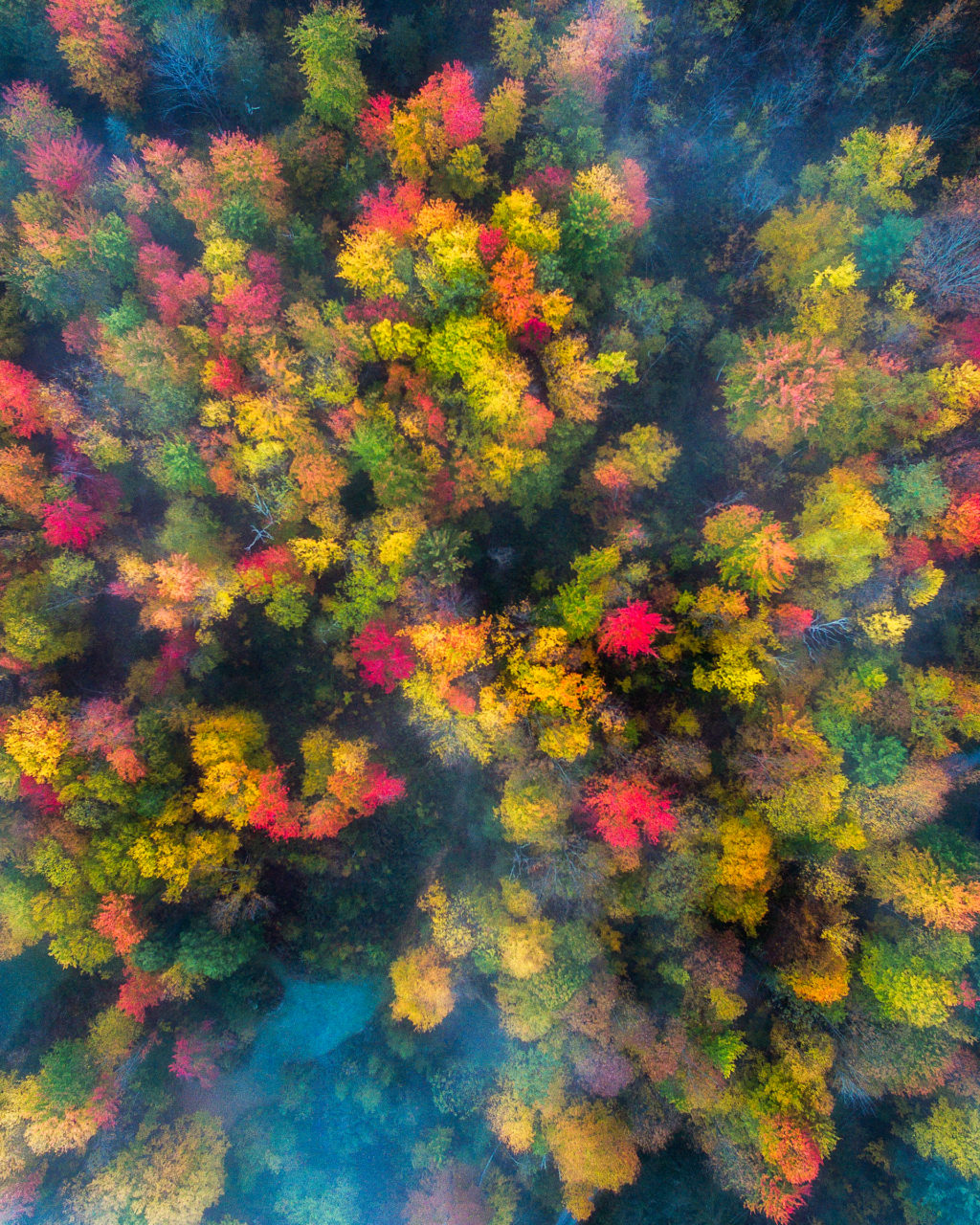 vermont-drone-over-foggy-forests-3-by-michael-matti