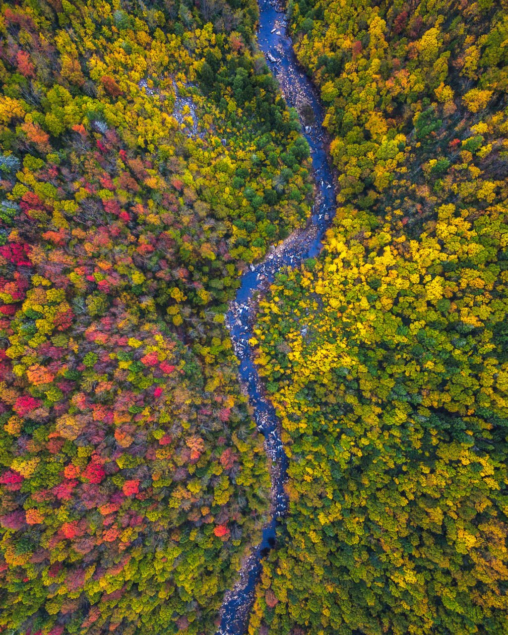 west-virginia-drone-over-fall-colors-by-michael-matti