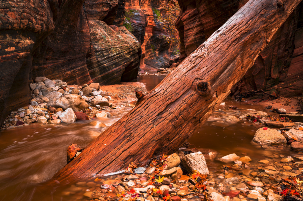zion-national-park-utah-more-than-just-parks-2