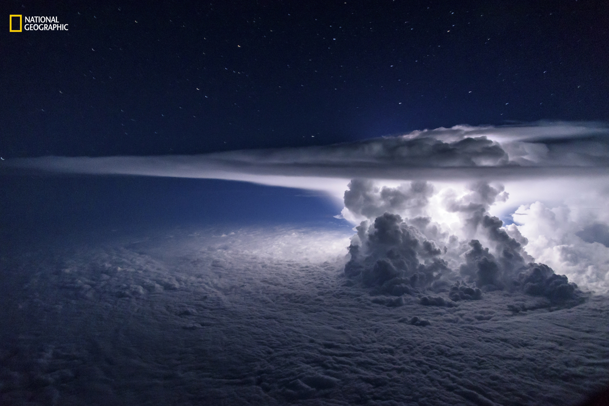See the Winners of National Geographic's 'Nature Photographer of the Year' Contest
